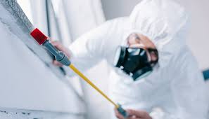 Real Estate Pest Inspections in Evart, MI